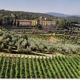 Wine Tasting at Torre a Cona
