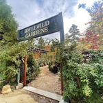 Idyllwild Gardens