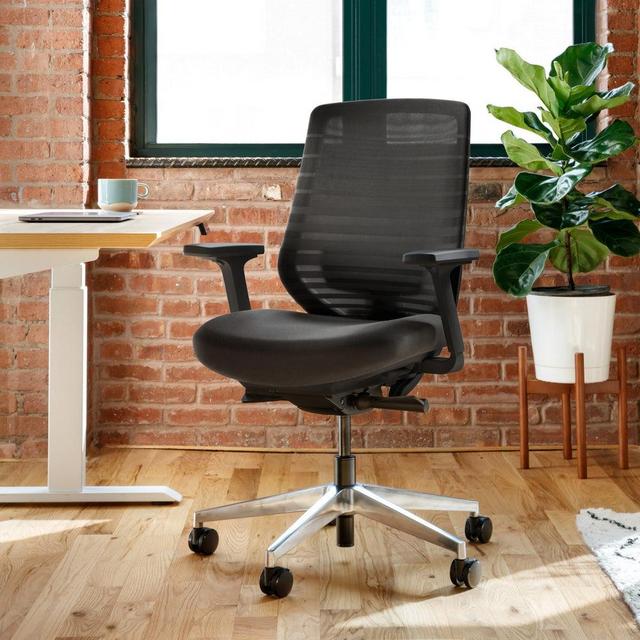 Branch Ergonomic Chair for Dr. Travis