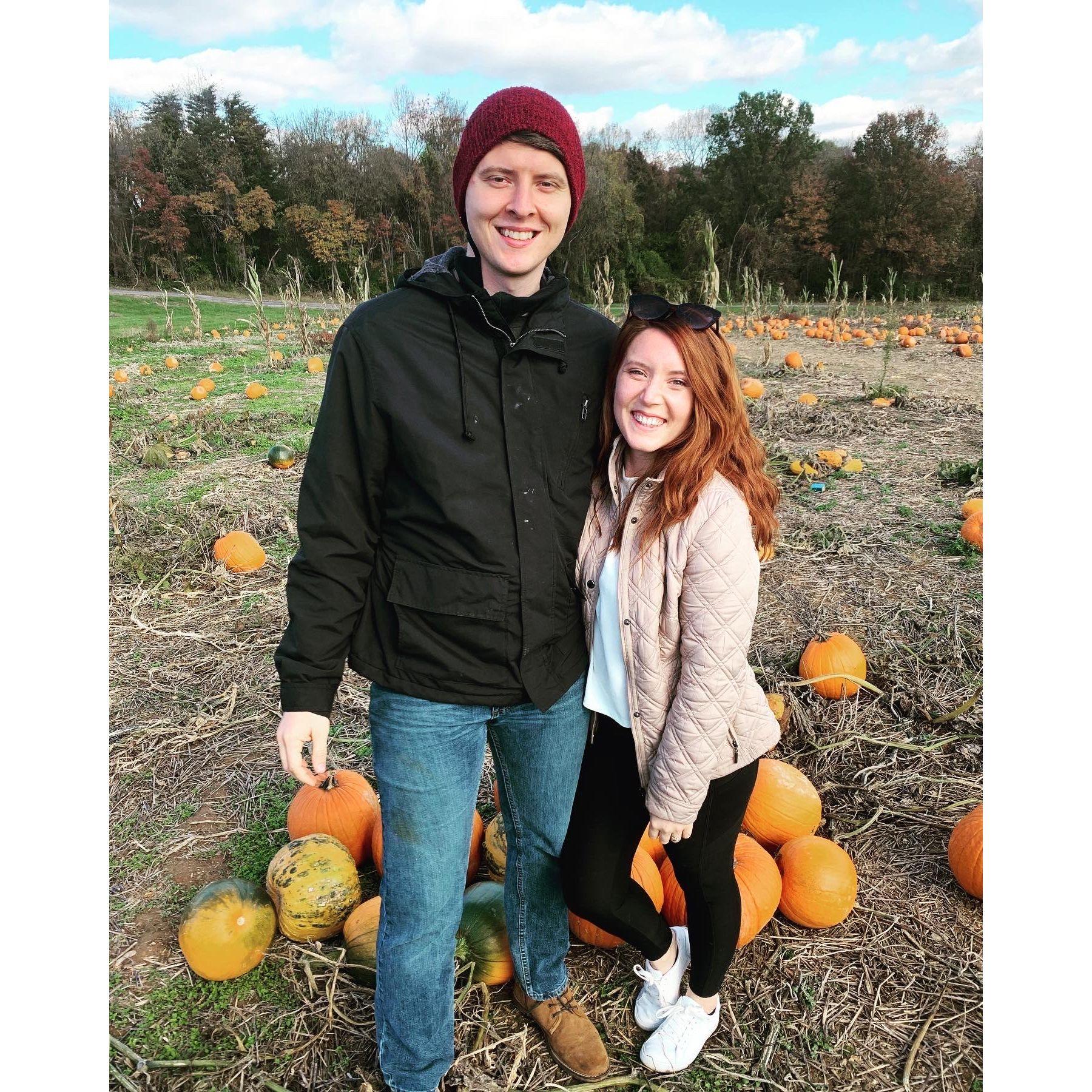 The one where we went to the pumpkin patch & the bees chased us away from the apple cider.