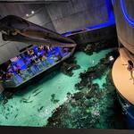 National Aquarium