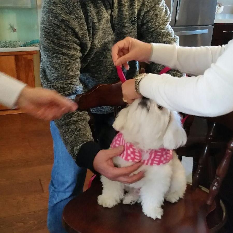 Getting Miley ready for the proposal