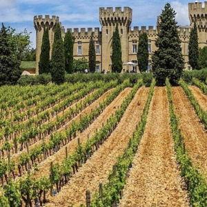South of France (Châteauneuf-du-Pape) Wine Tour