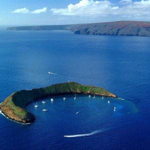 Molokini and Turtle Town Snorkeling
