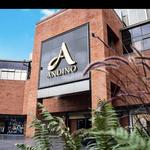 Andino (Mall)