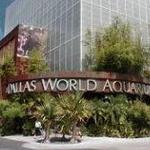 The Dallas World Aquarium