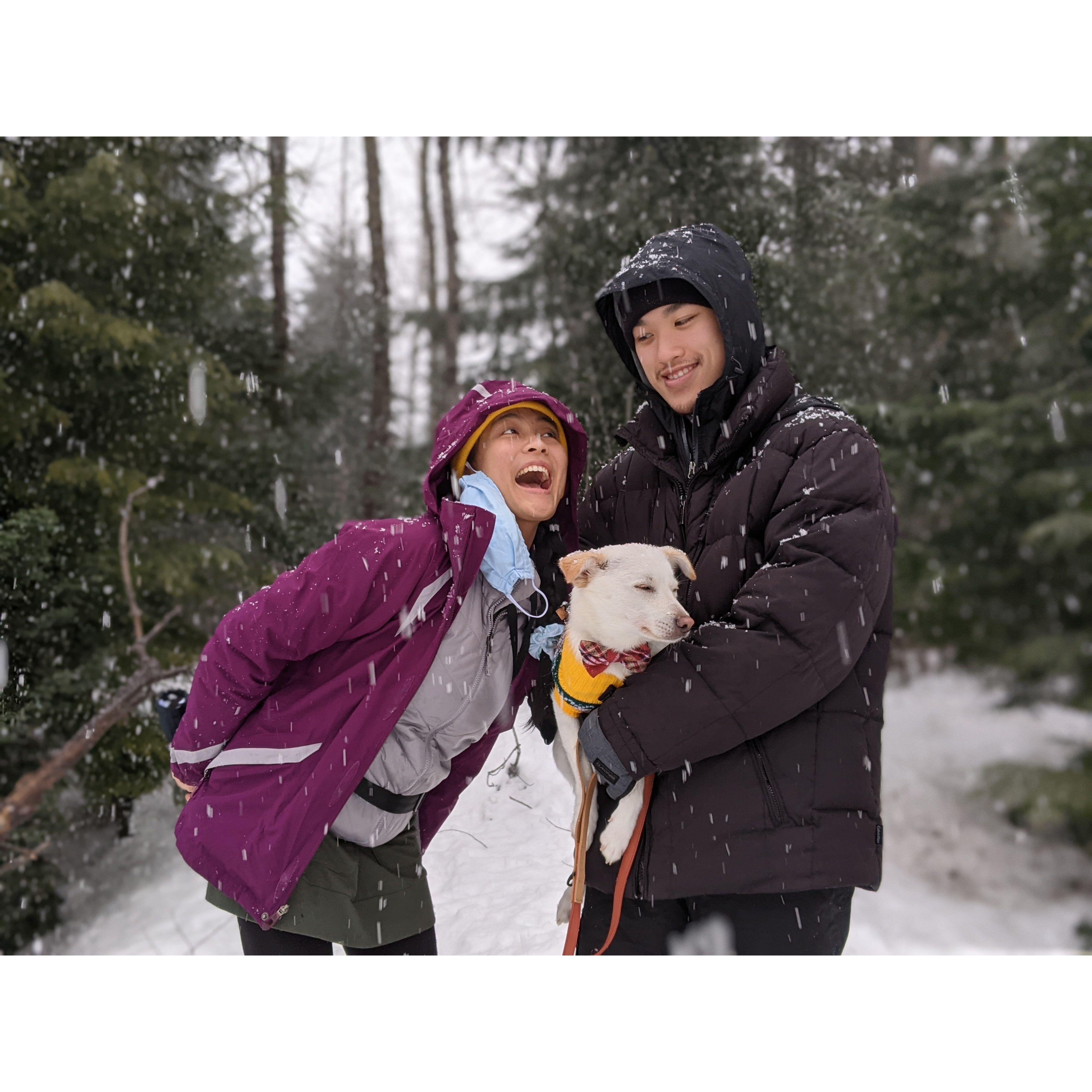 Our first snow with Haku