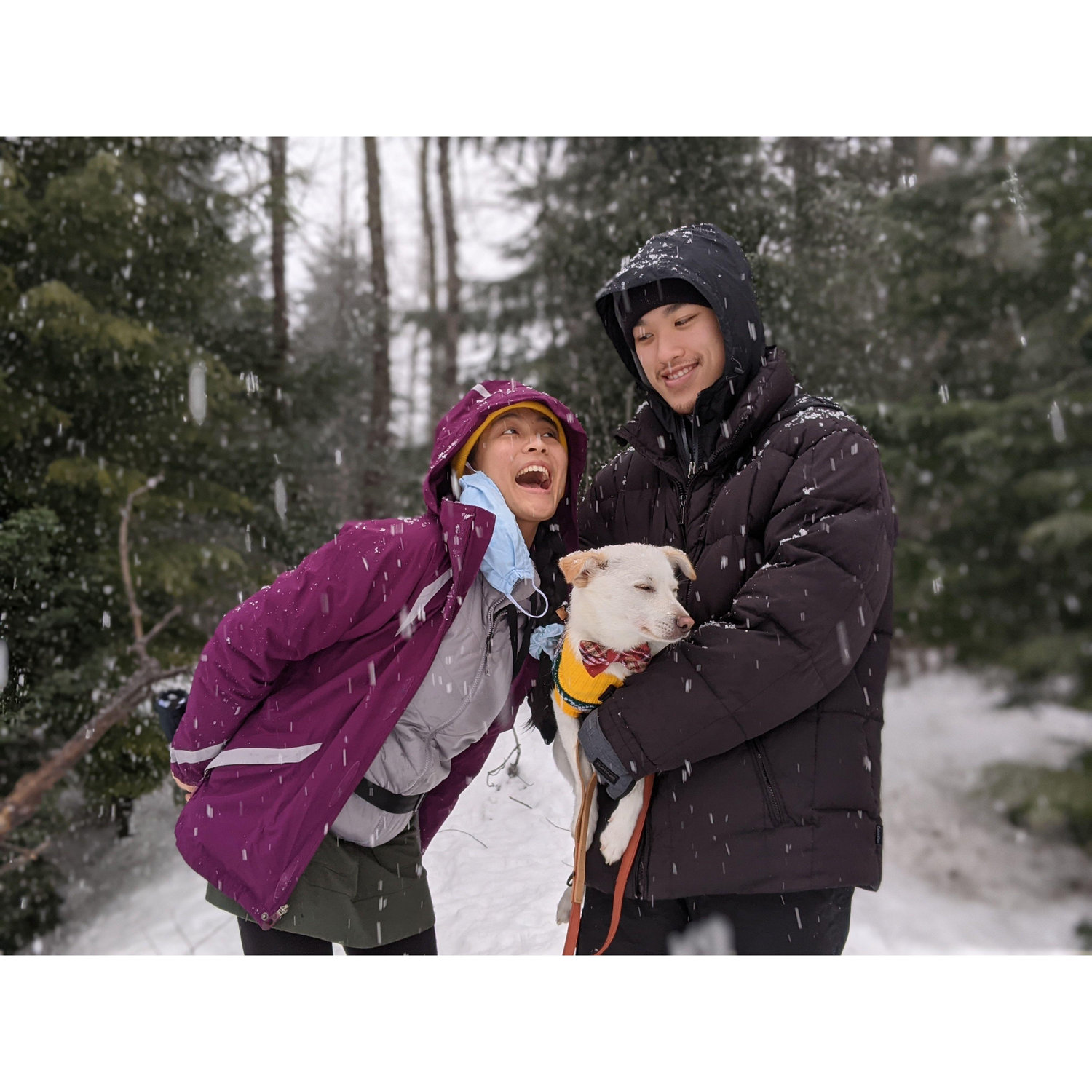 Our first snow with Haku
