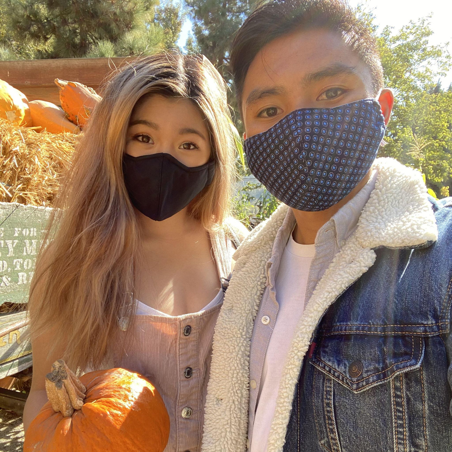 2020 - Pumpkin patch