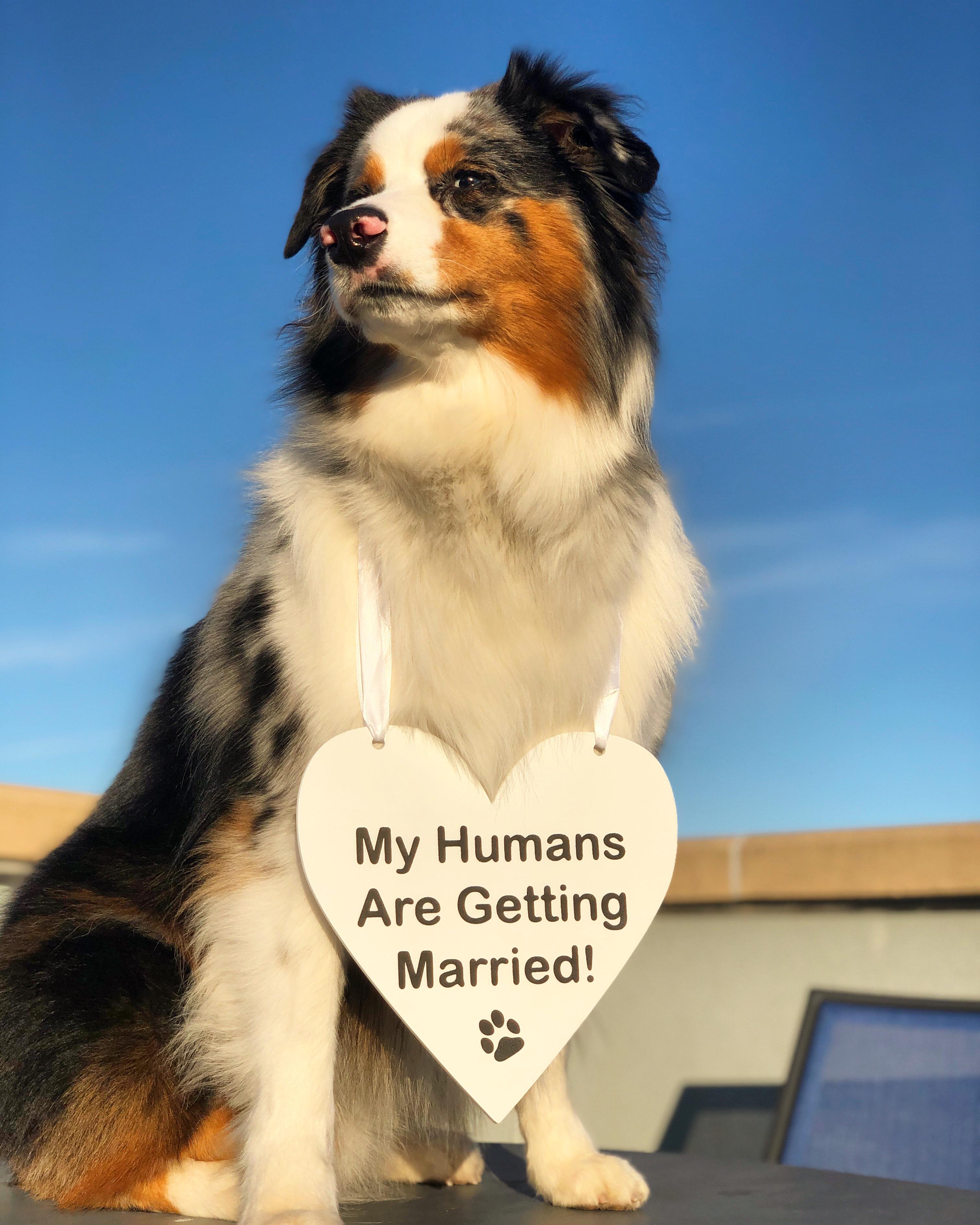 The Wedding Website of Lauren Kaufman and Corey Hill