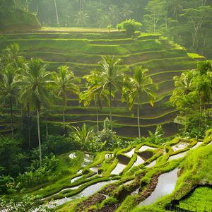 Bali transportation