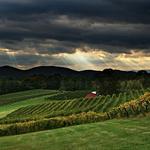 Three Sisters Vineyards & Winery