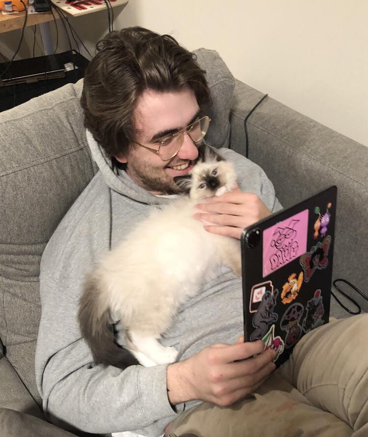 The time we obtained a 3rd cat, officially becoming “those people”.