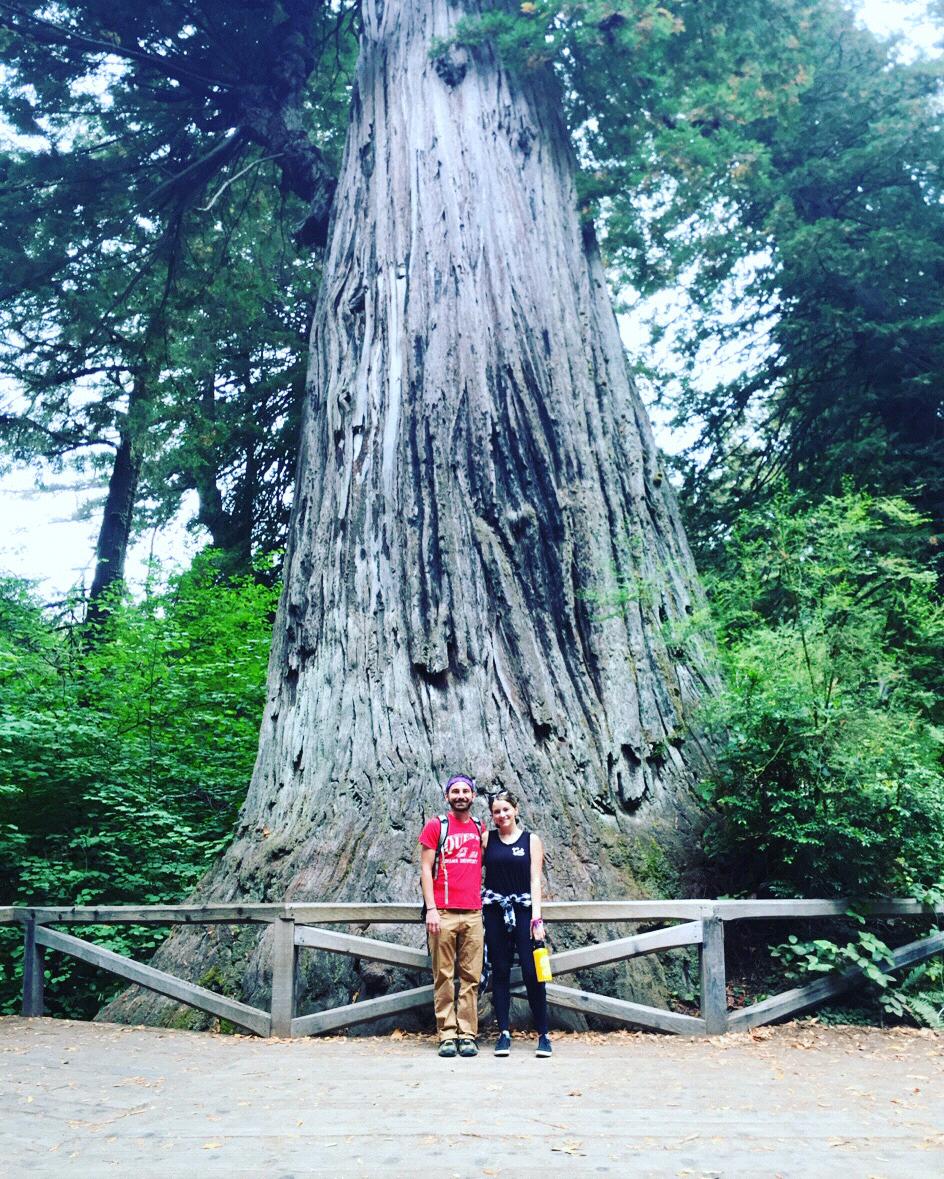 Redwoods 2016 - hiking within the huge trees!
