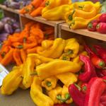 Watauga County Farmers' Market