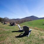 Jumpingoat Coffee Roasters and Tasting Room