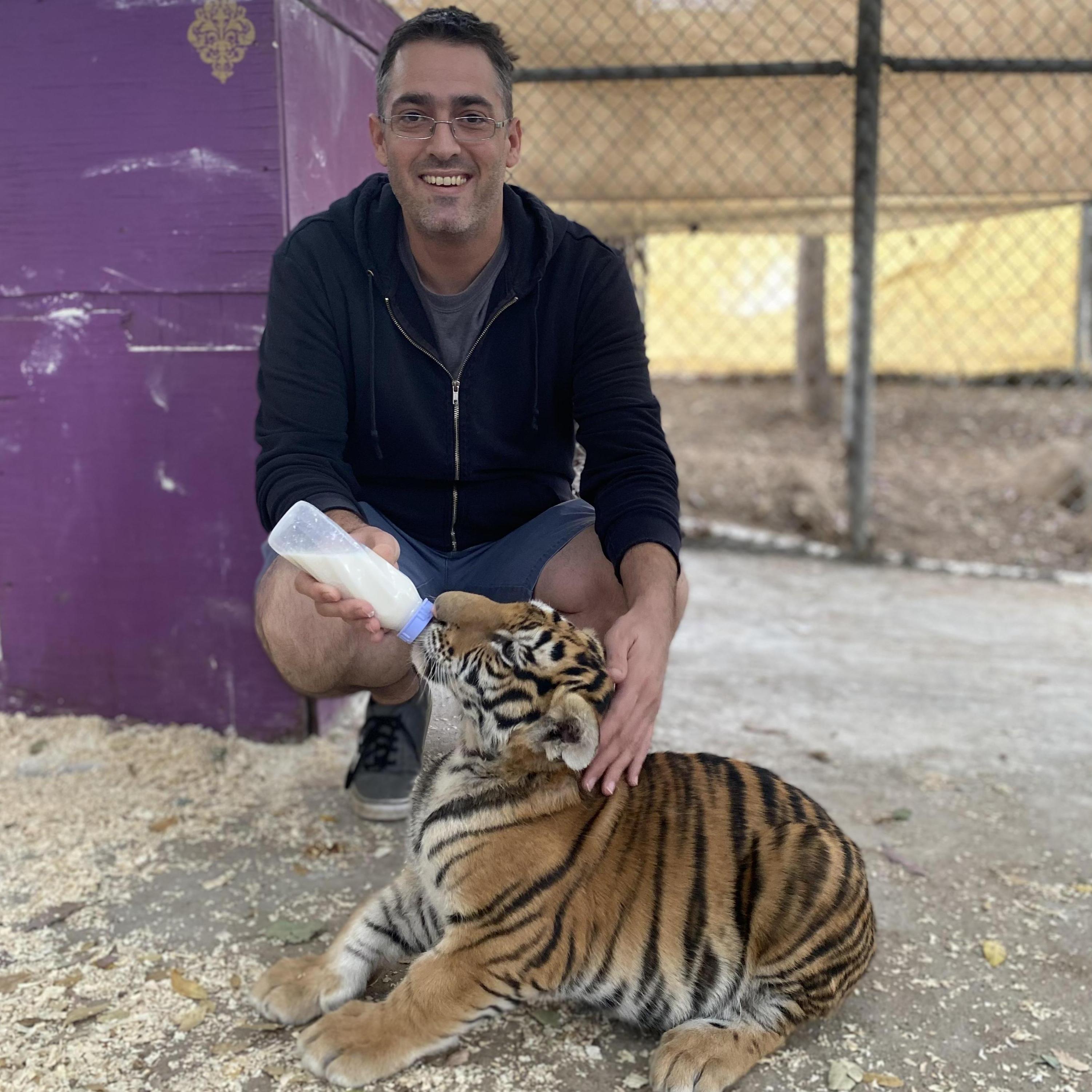 Justin helping with the tiger cubs.