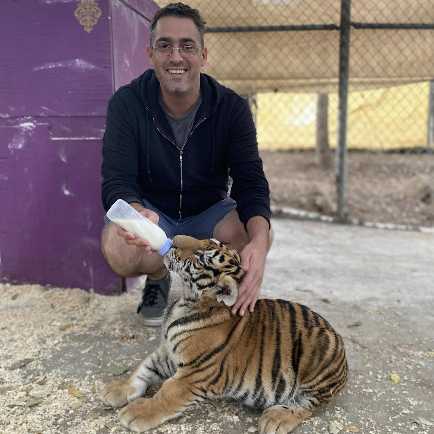 Justin helping with the tiger cubs.
