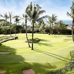 Golf Putting Course