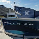 Georgia Aquarium