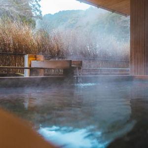 Private Onsen Experience in Hakone