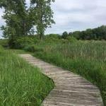 Major Michael Donnelly Land Preserve