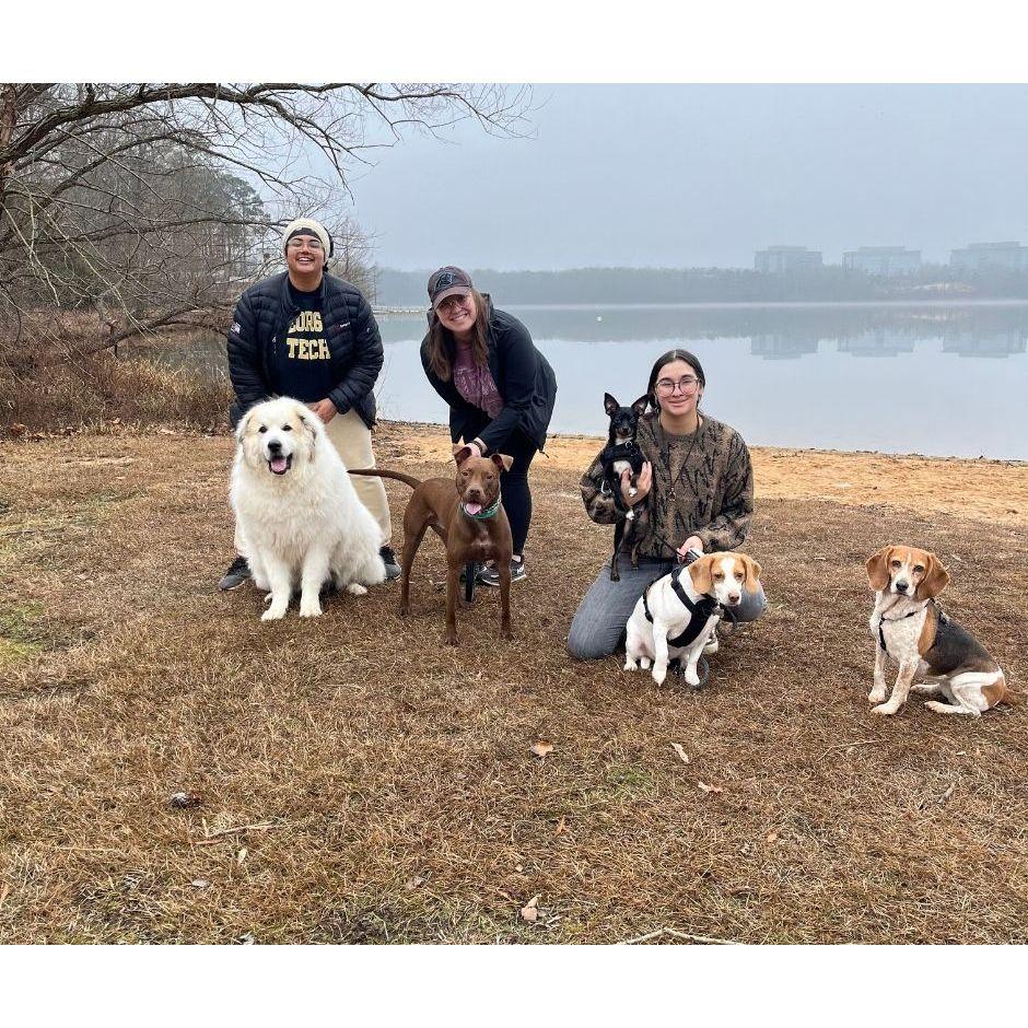 Norma, Bagel, and Tippy with their friends Prerana and Hercules, Kerri and Teddy, and Talia and Olive.