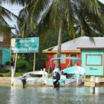 Placencia WIldside Adventures