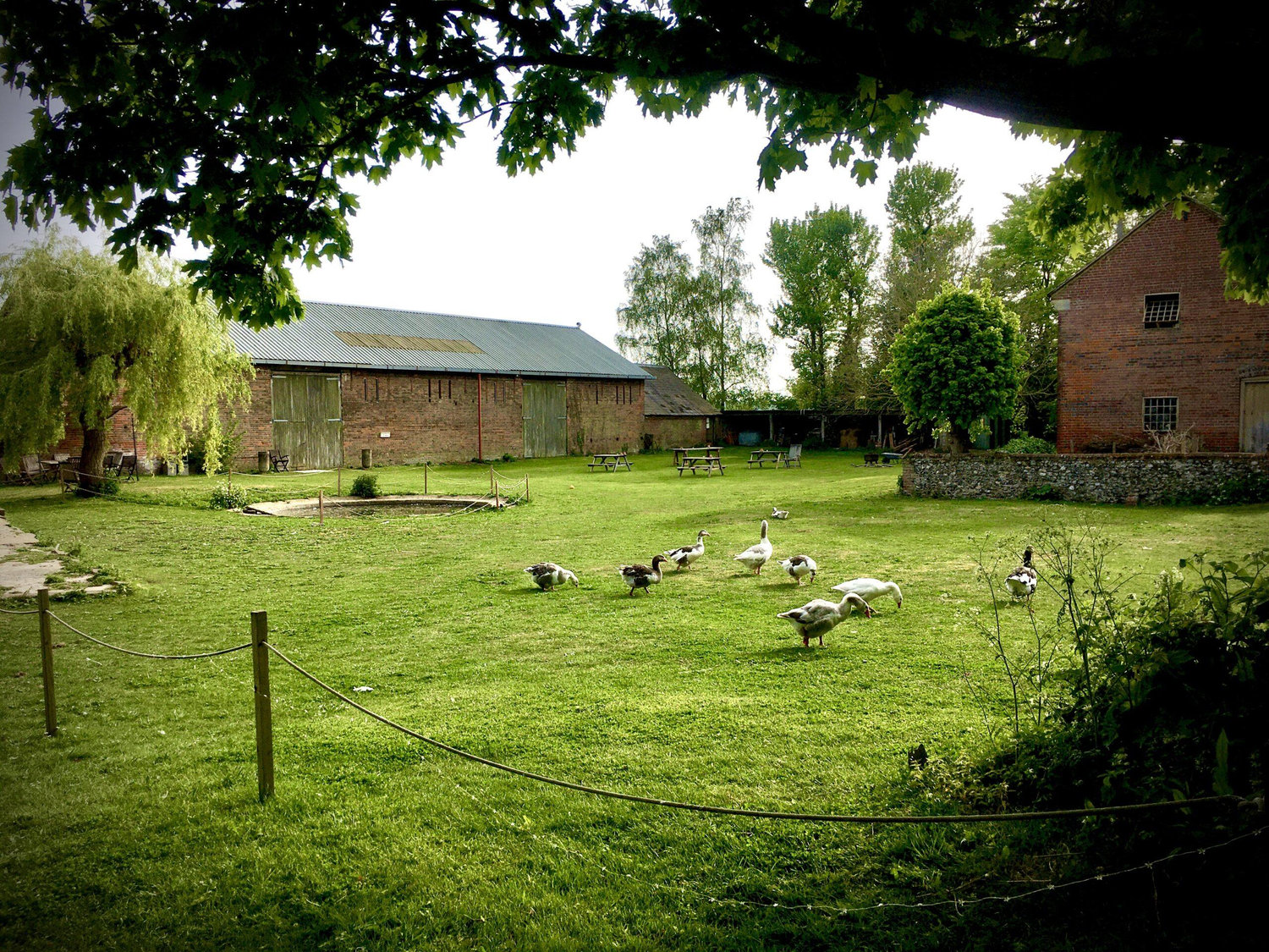 The Wedding Website of Abbie Johns and Ben McNally