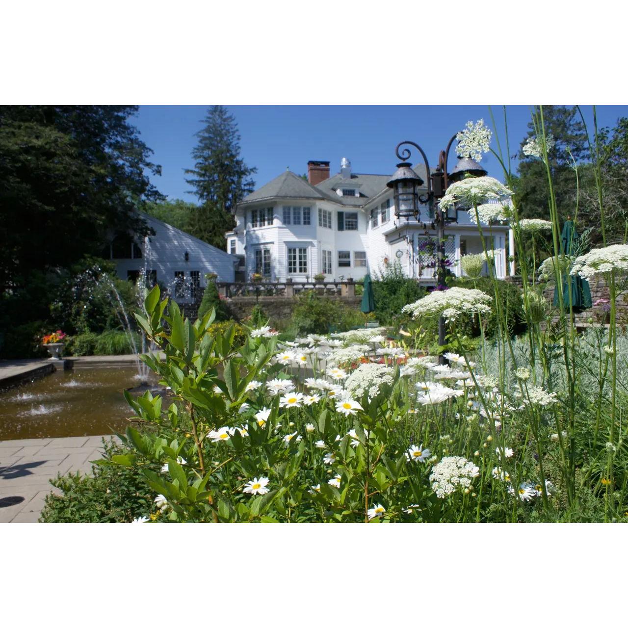 During the day, the garden and fountain offer a serene and enchanting escape, imbuing the atmosphere with tranquility and a touch of magic.