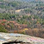 Bald Rock Heritage Preserve