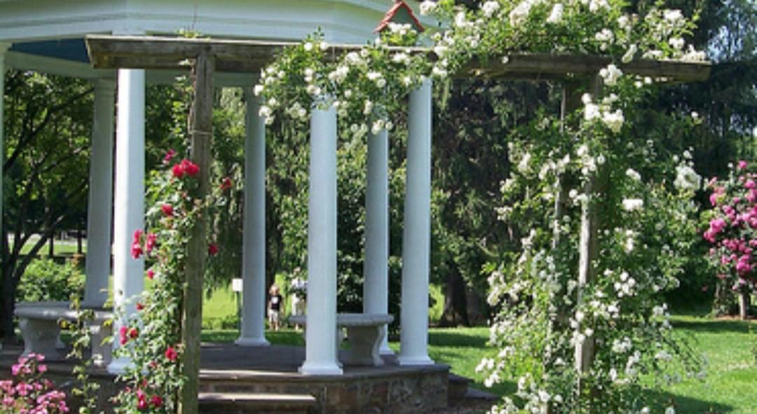 The Wedding Website of Antonio Castro and Kenneth Davila
