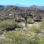South Mountain