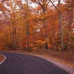 Dan Daniel Memorial Park