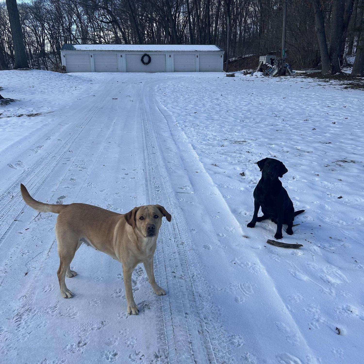 Winter fun!