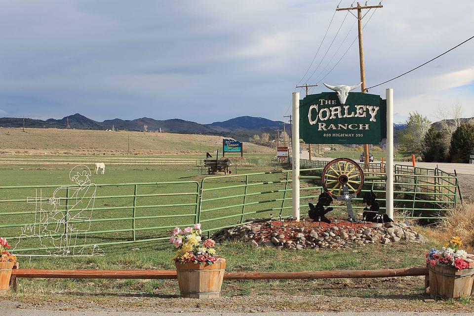 The Wedding Website of Justin Herbert and Shae Starbuck