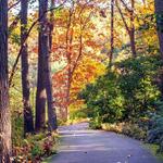 Jenkins Arboretum & Gardens