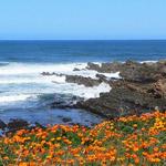 Montaña de Oro State Park