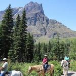 Swan Mountain Horseback Riding