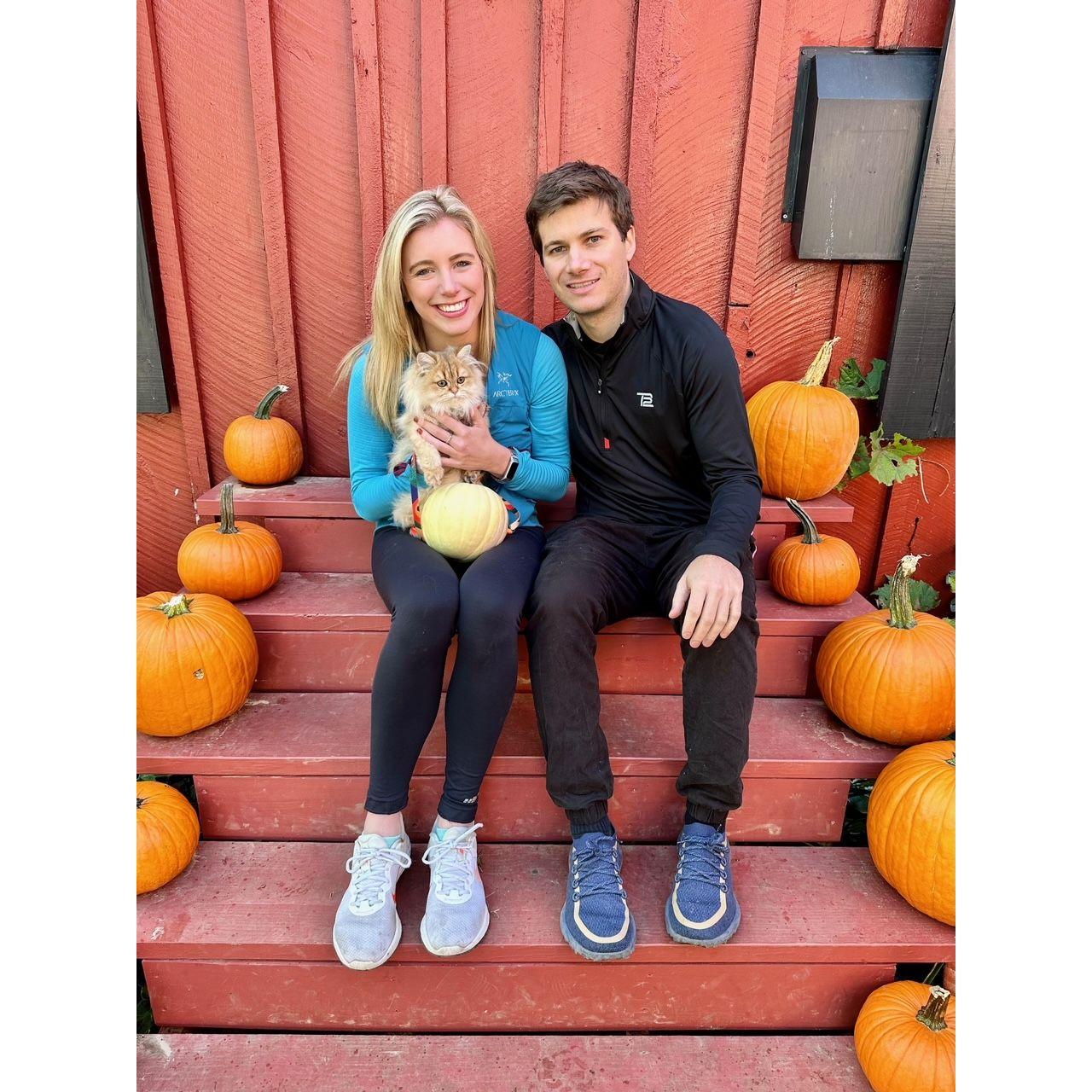 Fall fun with a young P