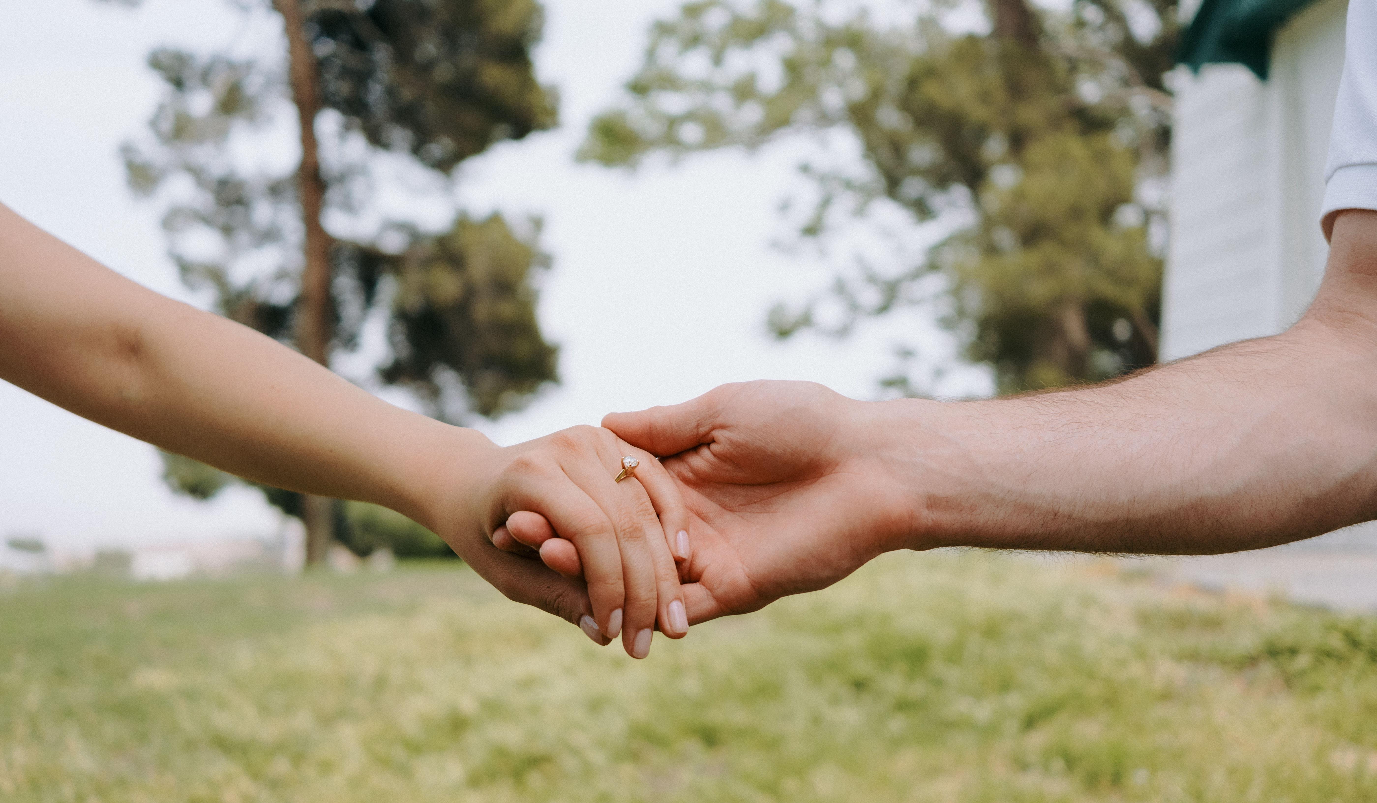 Hero Slideshow Image 2