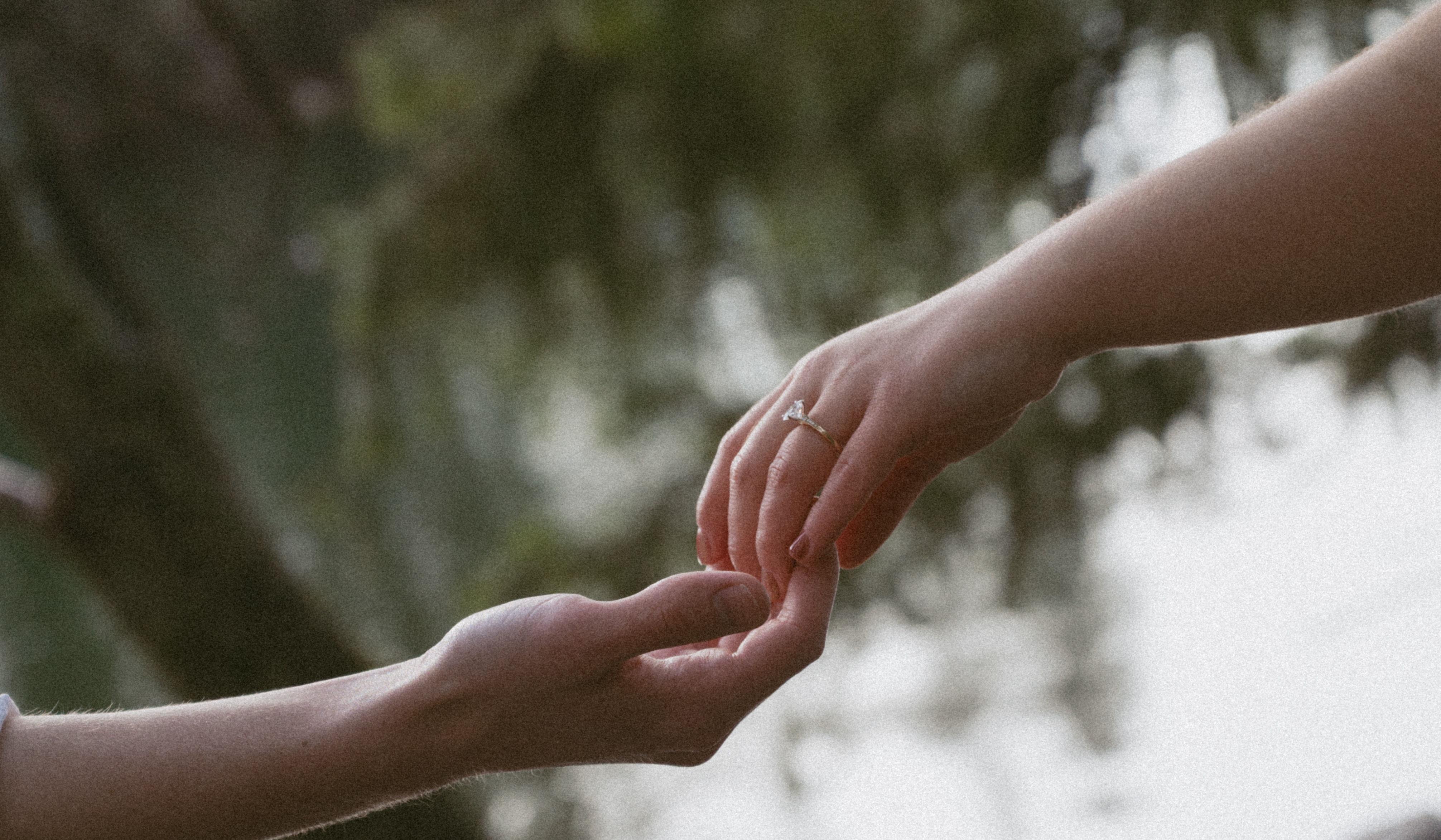 Hero Slideshow Image 2