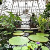 Conservatory of Flowers