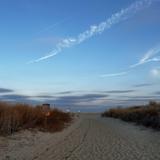 Sandy Hook Beach & Trails