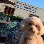 Legend Brewing Co