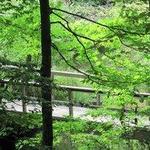Metamora-Hadley Recreation Area