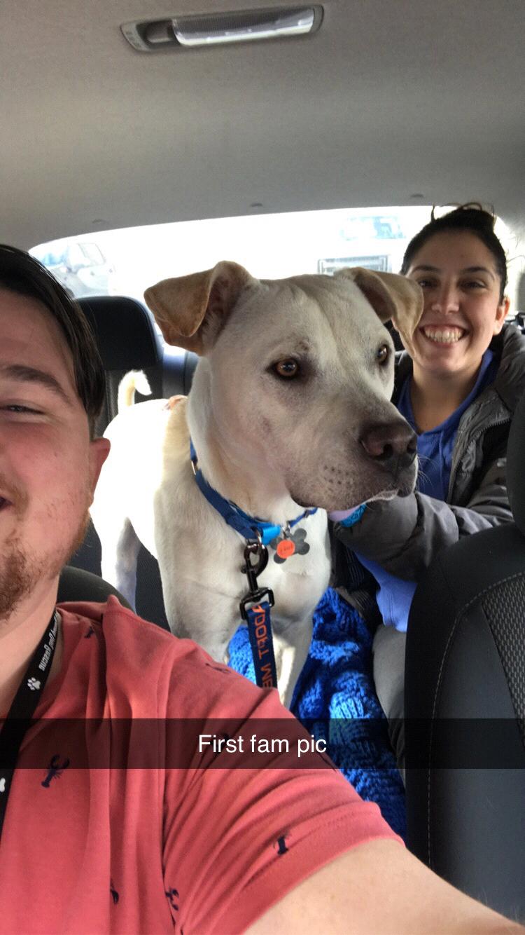 Our pup Rocky on his GOTCHA day!