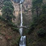 Multnomah Falls