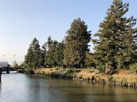 Petaluma