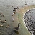 Pymatuning State Park Office